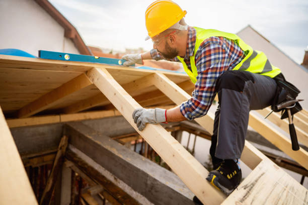Best Roof Maintenance Services  in Nekoosa, WI