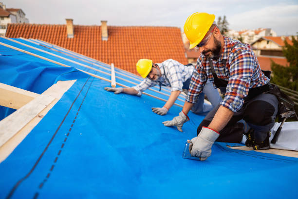 Roof Waterproofing Services in Nekoosa, WI