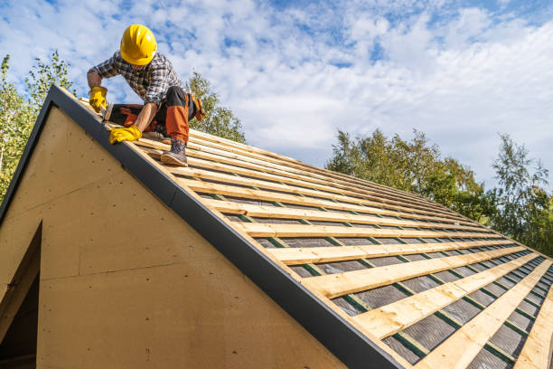 Best Roof Repair Services  in Nekoosa, WI