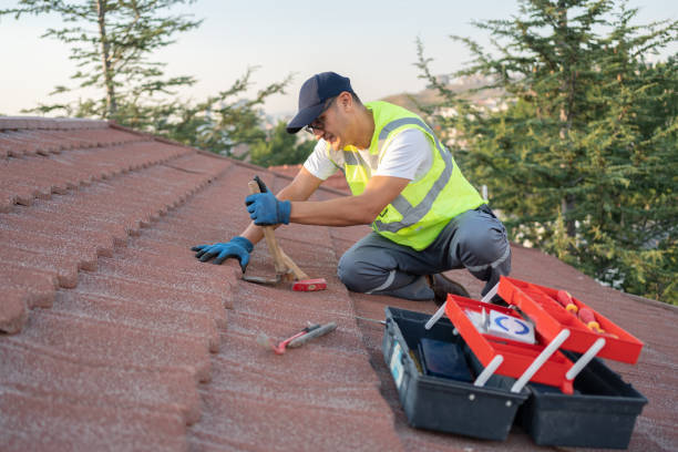 Best Shingle Roofing Installation  in Nekoosa, WI